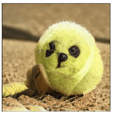 An AI mixes up a puppy and a tennis ball